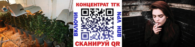 купить наркотики сайты  Камень-на-Оби  Дистиллят ТГК концентрат 