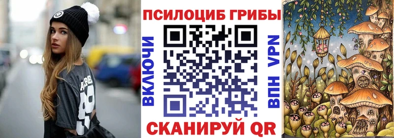 закладки  Камень-на-Оби  blacksprut как зайти  Галлюциногенные грибы Psilocybe 